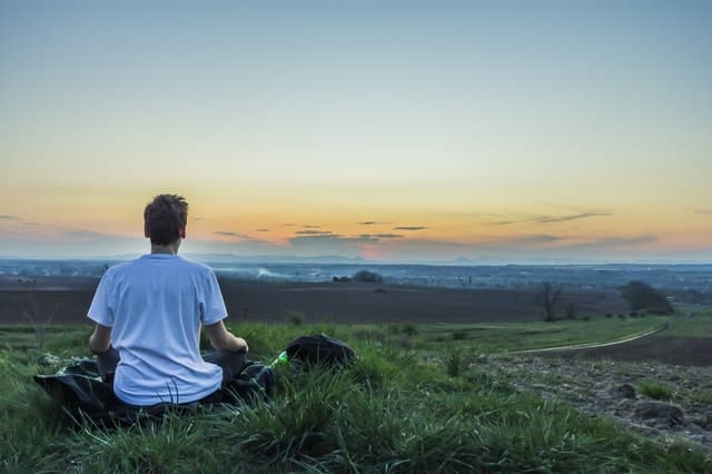 Neural Mechanisms of Mindfulness