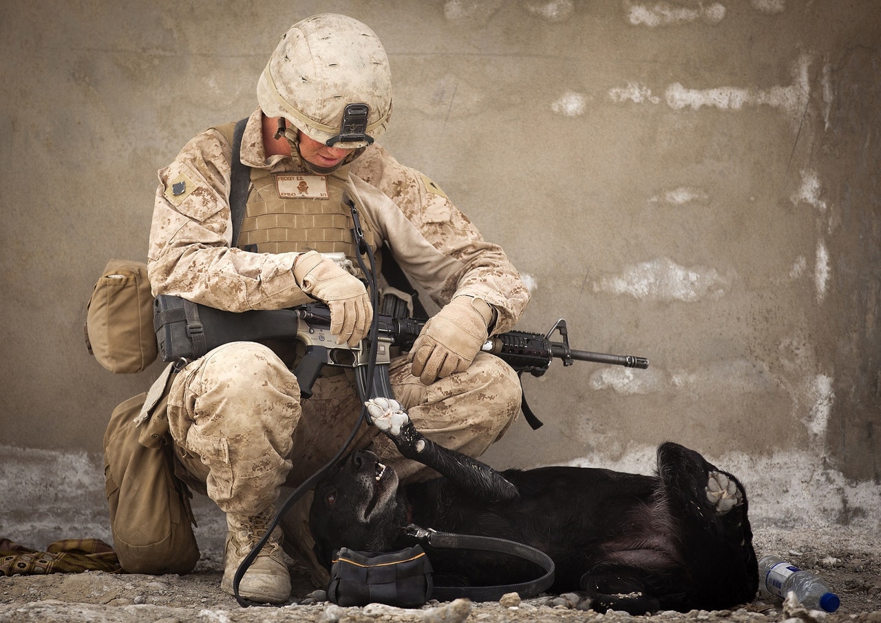 Military soldier playing with dog